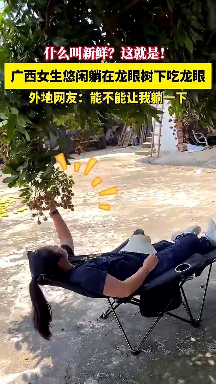 这个生活简直是活在天堂！广西，眼见着龙眼成熟的季节，一女子家的龙眼树结满了果实，