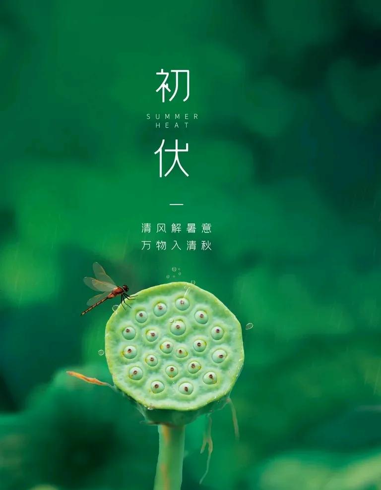 #“三伏天”的“伏”究竟是什么意思#
俗语有云：“冬练三九，夏练三伏”，今天迎来
