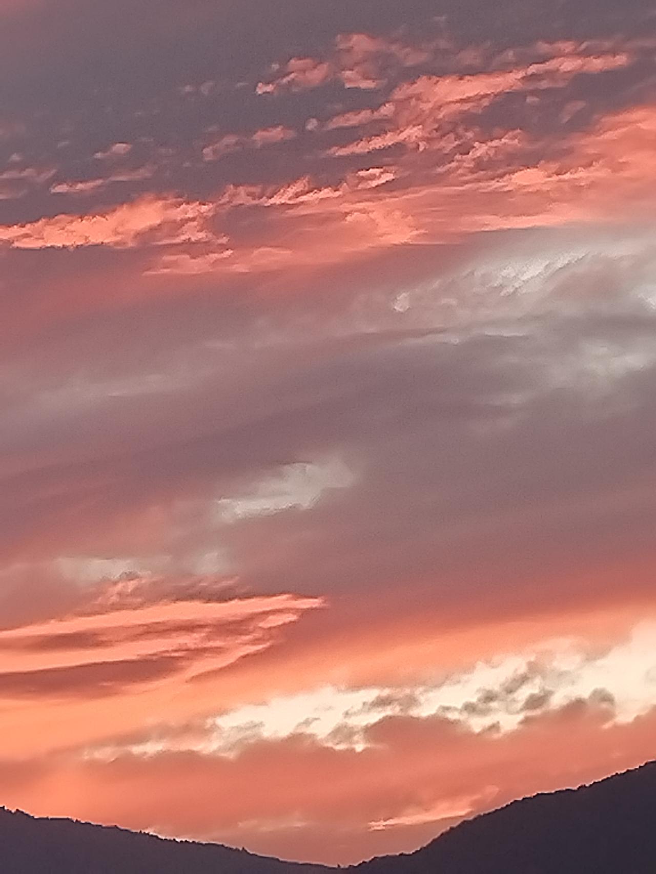 天空被晚霞晕染成了柔美的粉红色。大自然宛如技艺高超的画师，在这绚烂色彩的勾勒下，