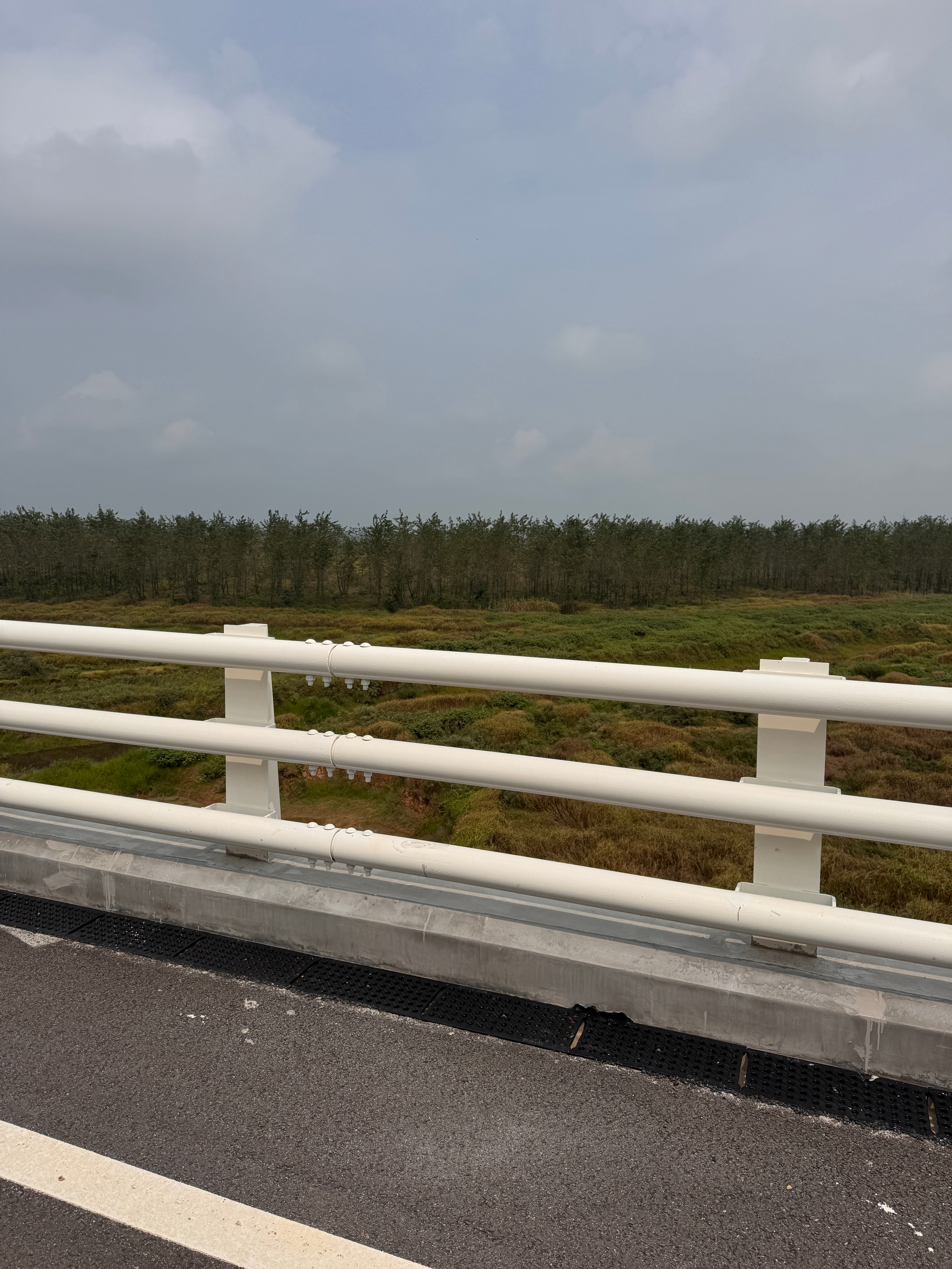 他们跟我说：这是鄱阳湖！我说：湖在哪啊？豆包跟我说：湖……干了……  ​​​