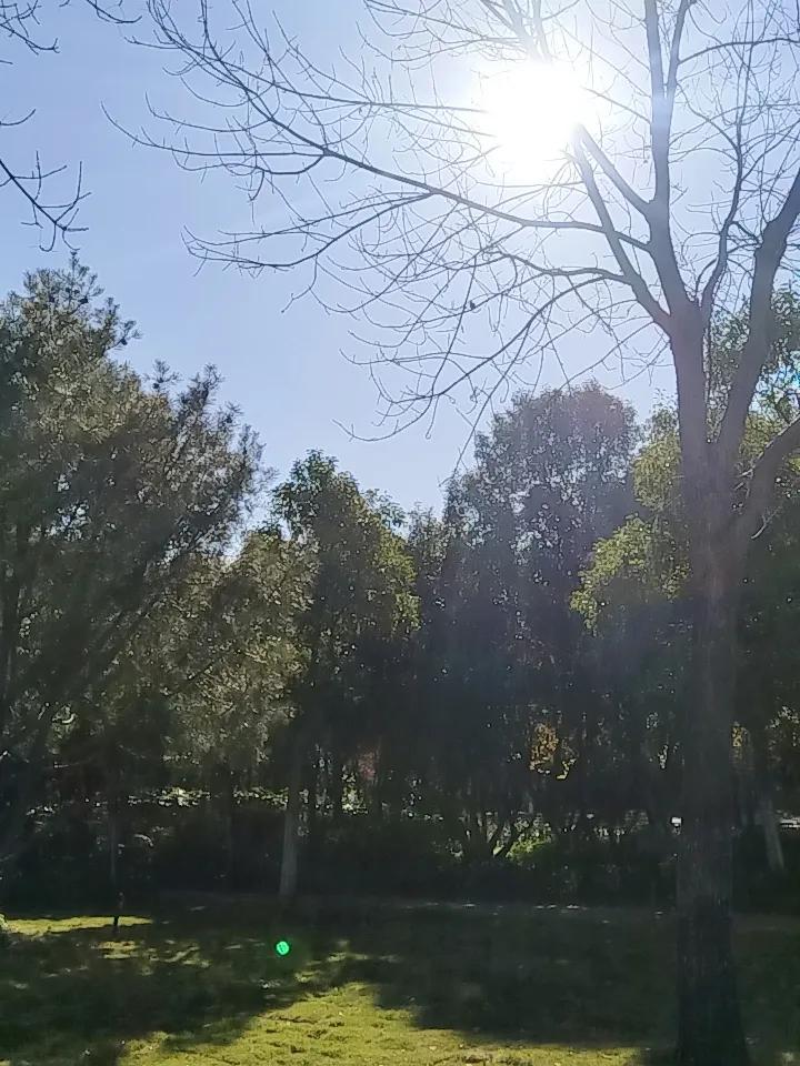 展现风景如画的照片 分享一张你相册最美的天空