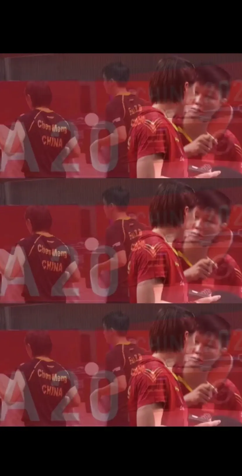 陈梦樊振东可用金卡身份参加WTT大满贯正赛