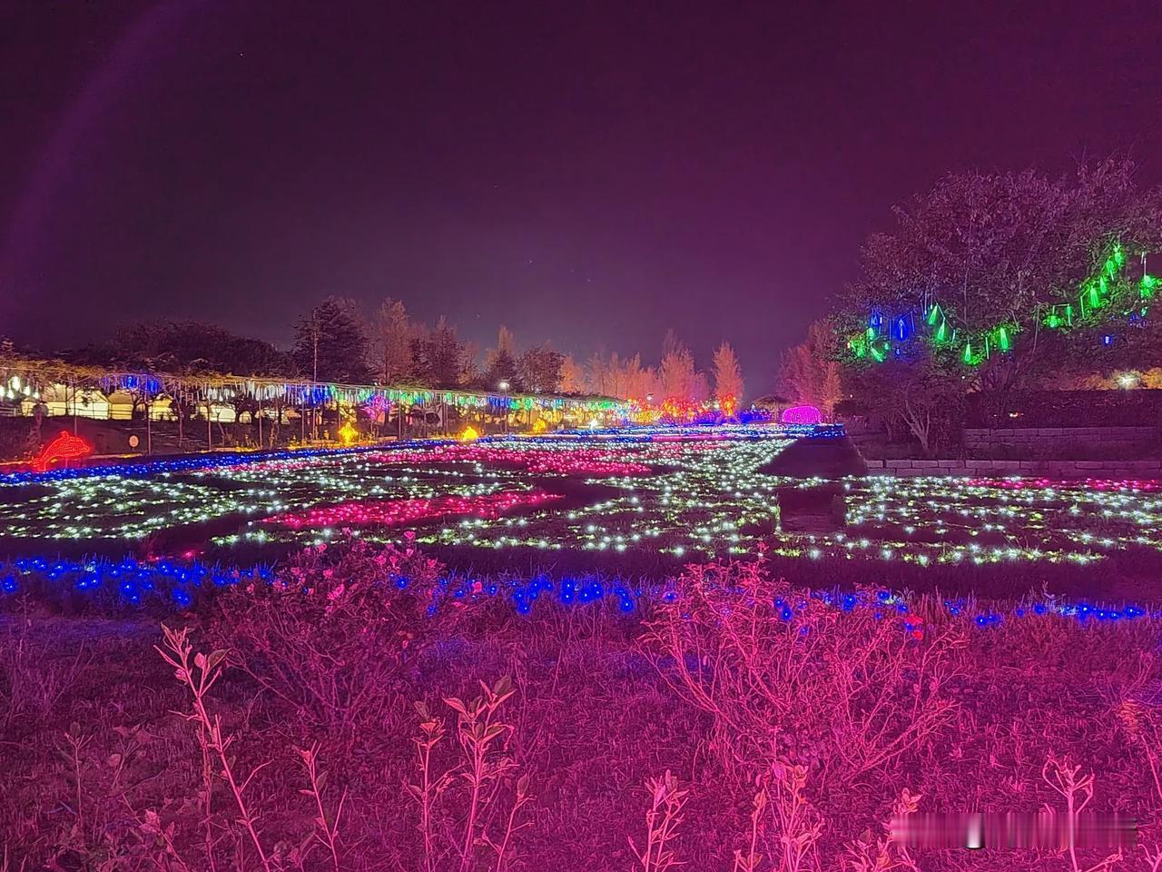 最近有好友问我说，大厨，你儿子做什么工作去了？我都不好意思回答了，儿子今年21岁