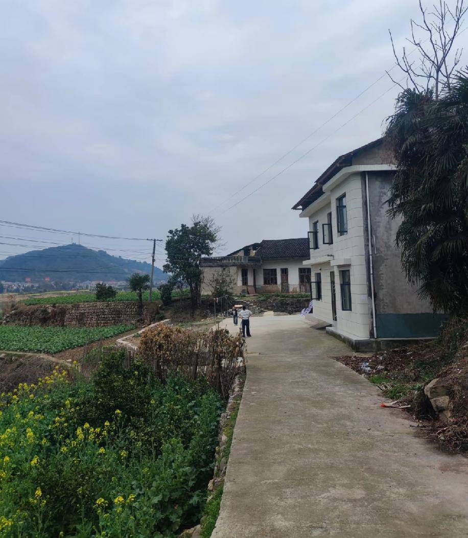 今年提前回农村老家过年，我算是彻底想通了：在村里，真别过度研究人情世故。
 
以