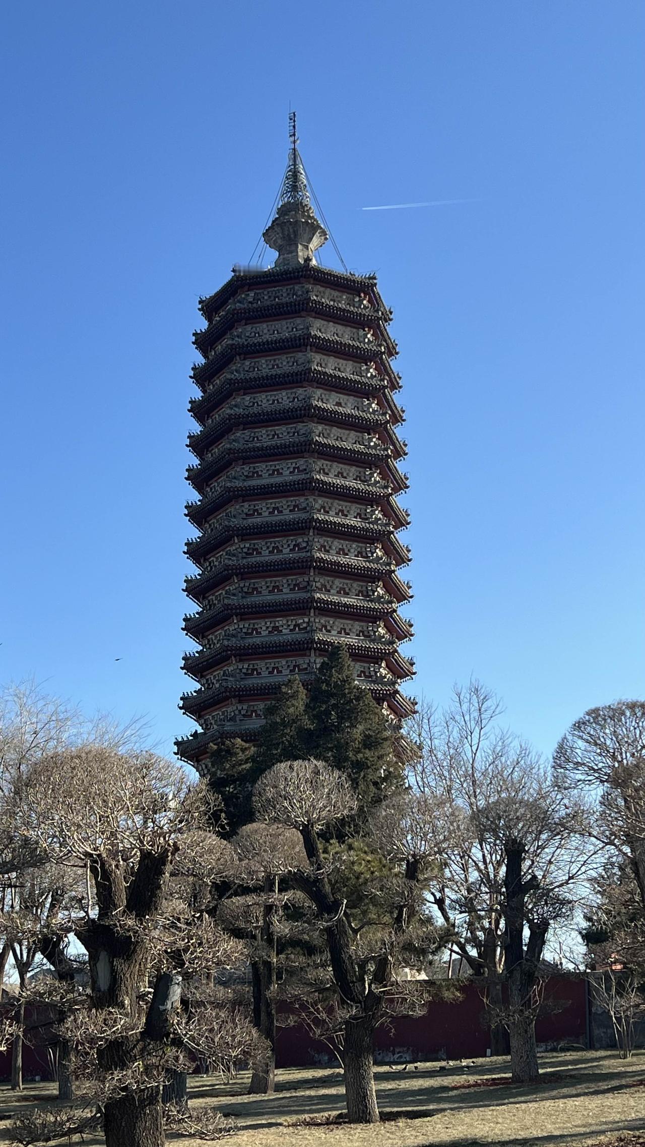 手机随手拍原创图片