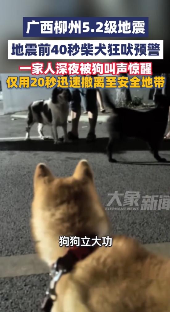 萌犬显神通！地震来临前主动预警，救下一家人
 
谁能想到，危难时刻家里的狗狗竟成