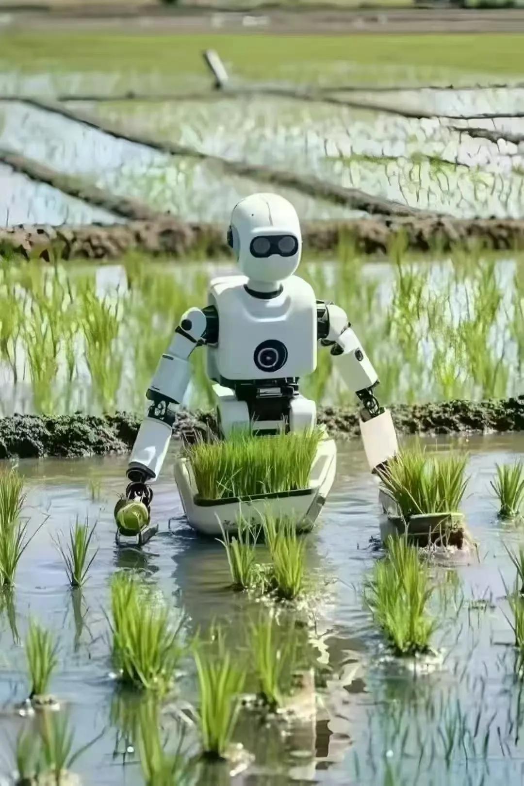 未来科技与农业的完美结合🤖🌾
如果你现在不努力不上进，可能连躺平的机会也没有