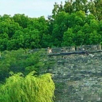 每日一善生活从来没有捷径，别人为了梦想默默耕耘，只是你没看到而已。停止为懒惰找借