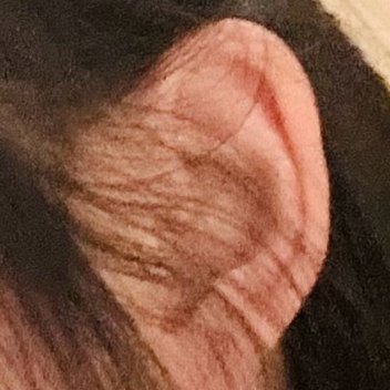 信心锻造伟业，信念燃烧激情，欲望产生希望；有梦想的人生才是完美的，有积极的心态才