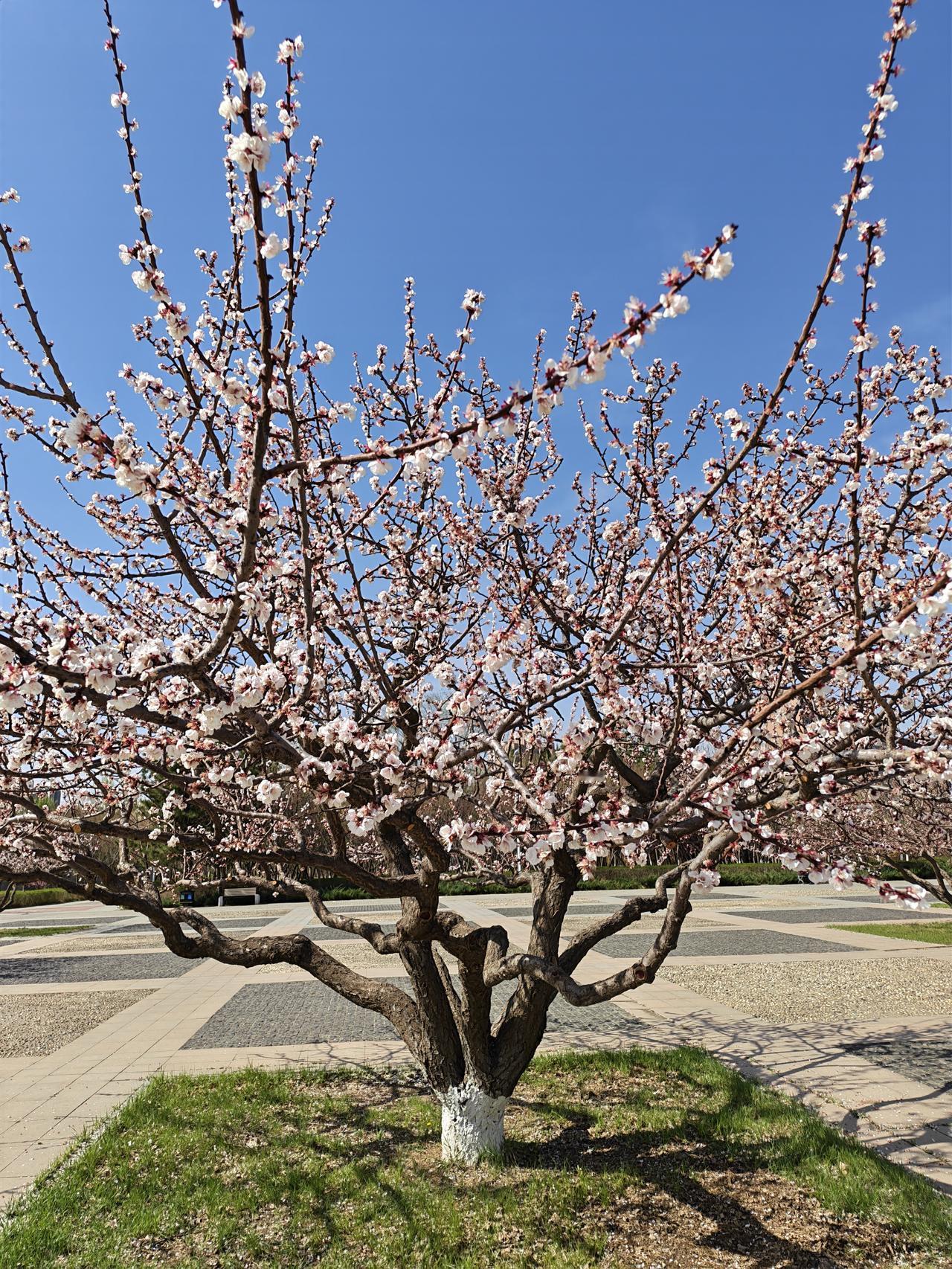 有些人也不知怎么想的，竟将自己的养老钱交给儿子儿媳打理。
人老了，除非到了生活无