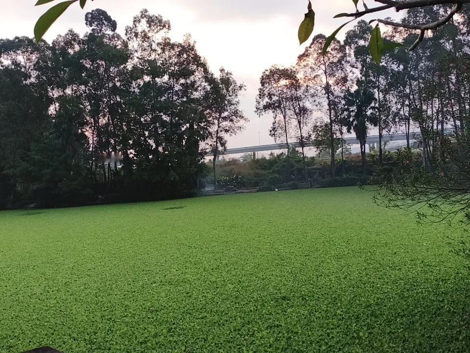 有一处冒烟处，大清早，纯属污染空气，影响我等早晨呼吸新鲜空气的好心情