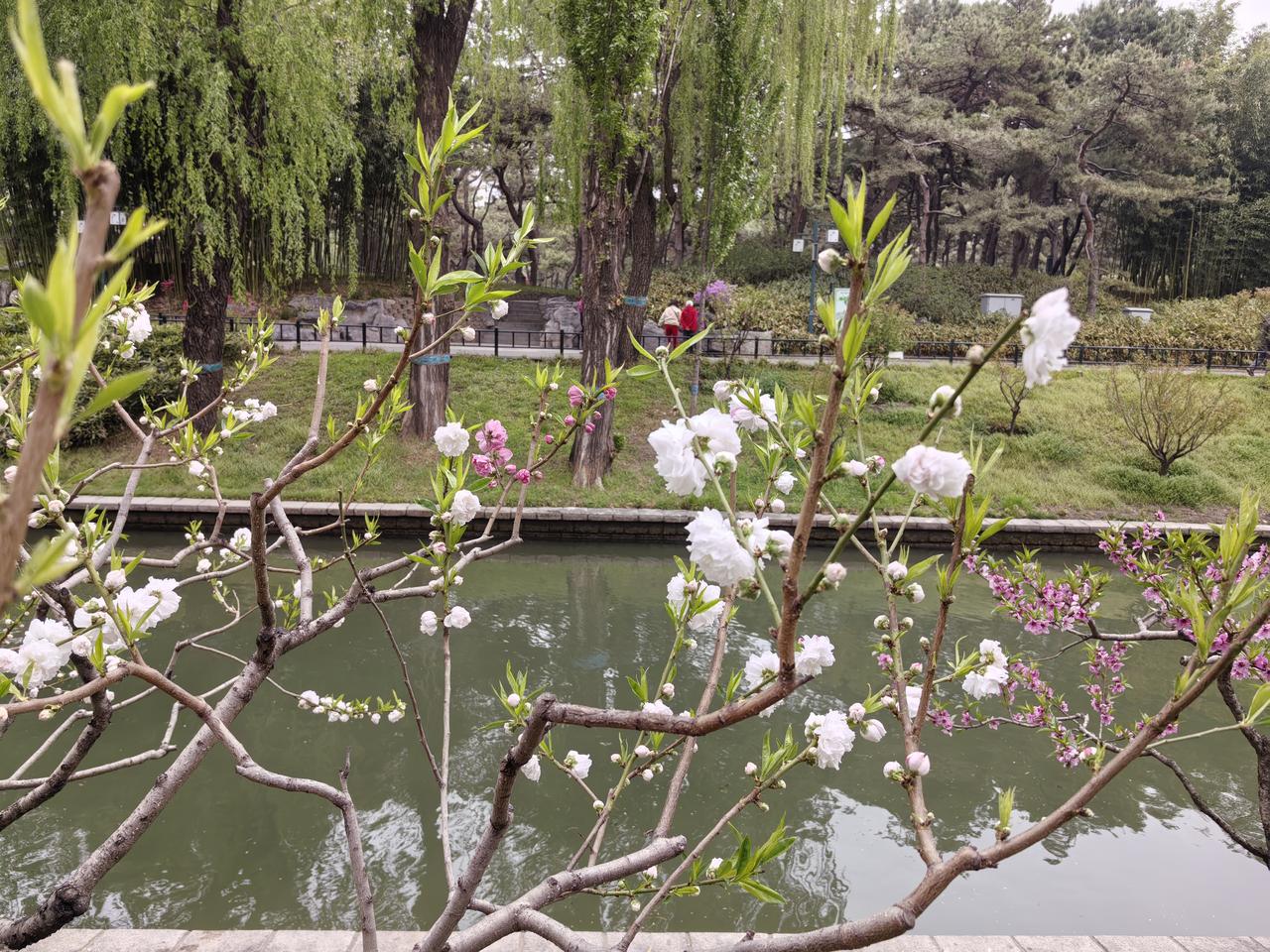 春日生活打卡季