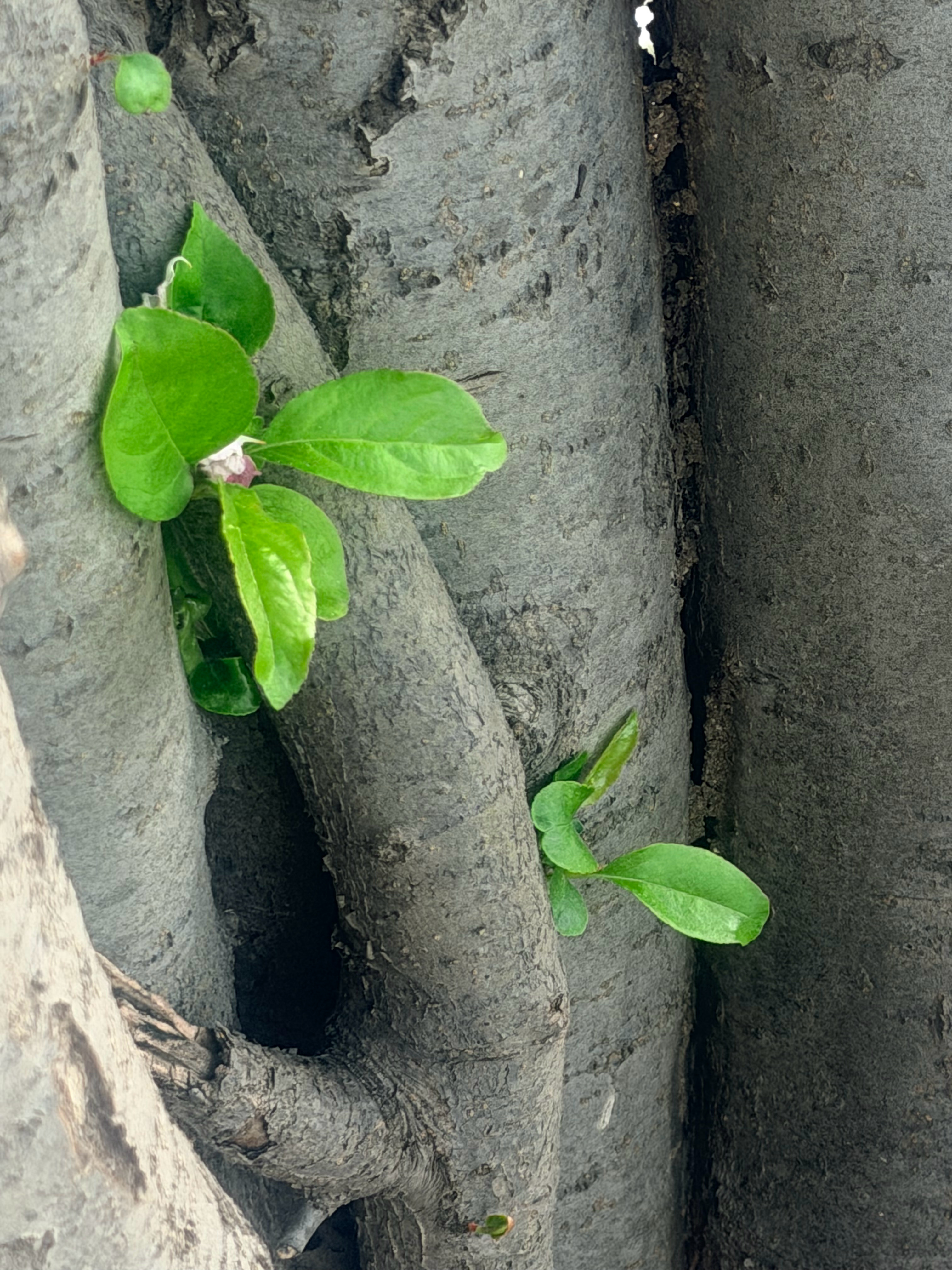 今天，春光明媚。风和日丽。品质生活自然离不开品质出品。这也是美好一天的开始