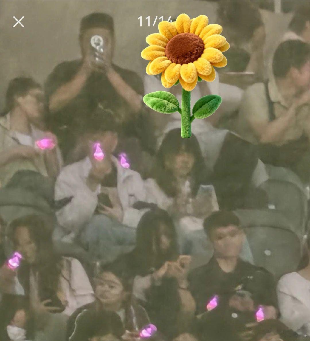 前几天看张韶涵演唱会，我竟然在观众席里看到我了，果然人生处处是镜头