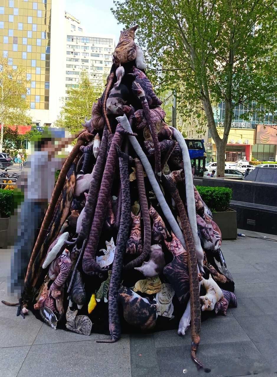 49468【丑猫】⛰️（全是抱枕无一只真实丑猫受伤 