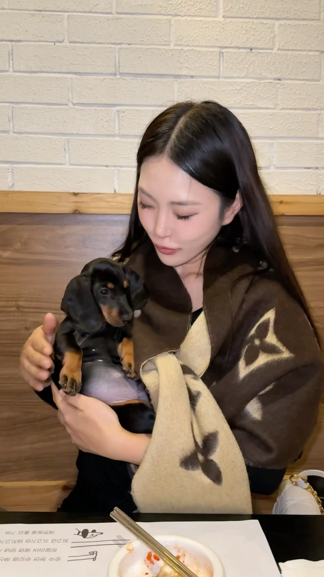 小狗日记📔和我电子宠物扑扑狗的工作日常🎀.