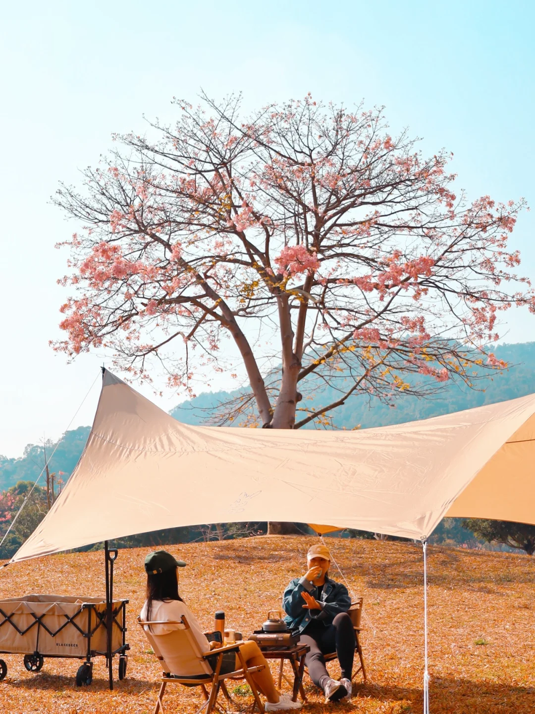 从化｜🌸广州1小时车程⛺️0元野餐公园⛲️