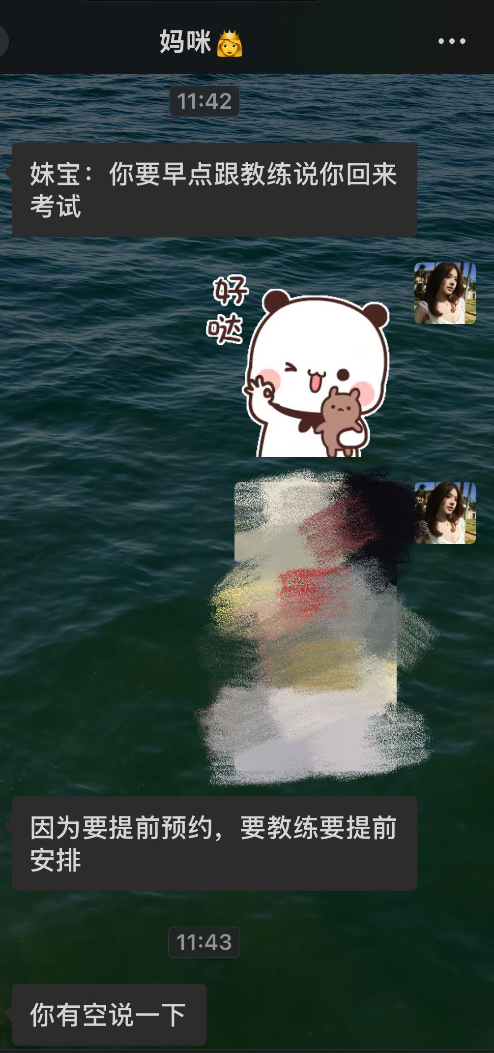 猫对我的新爱称😽 ​​​