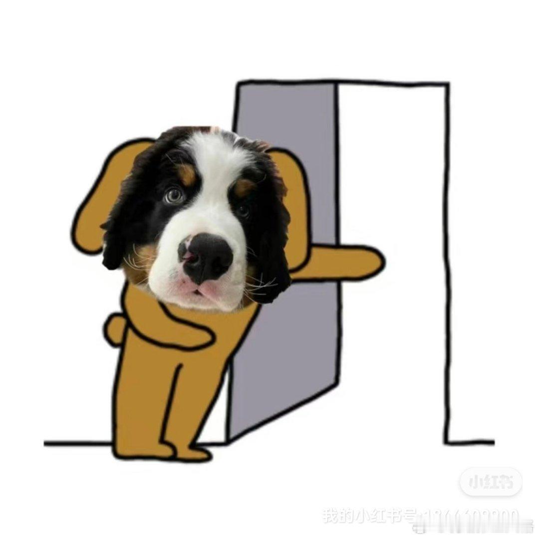 第五人格[超话] 宝宝们一张月卡 大家跟好朋友出去玩一般干什么   