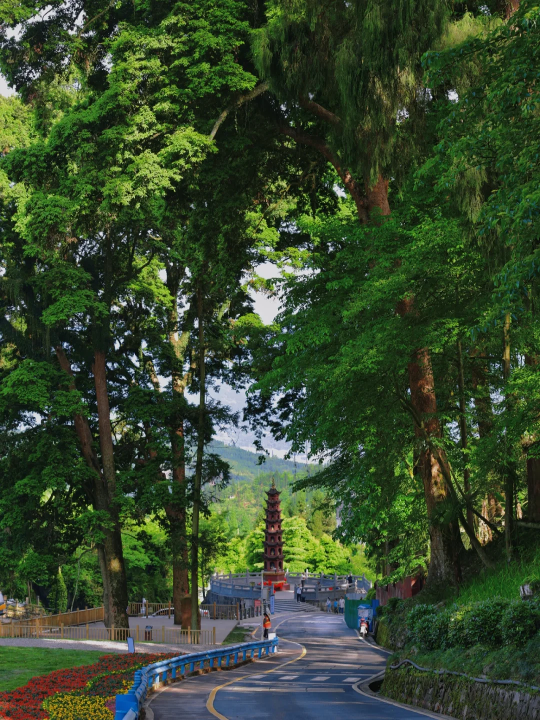 中国最贵的寺庙？长在200棵金丝楠森林里