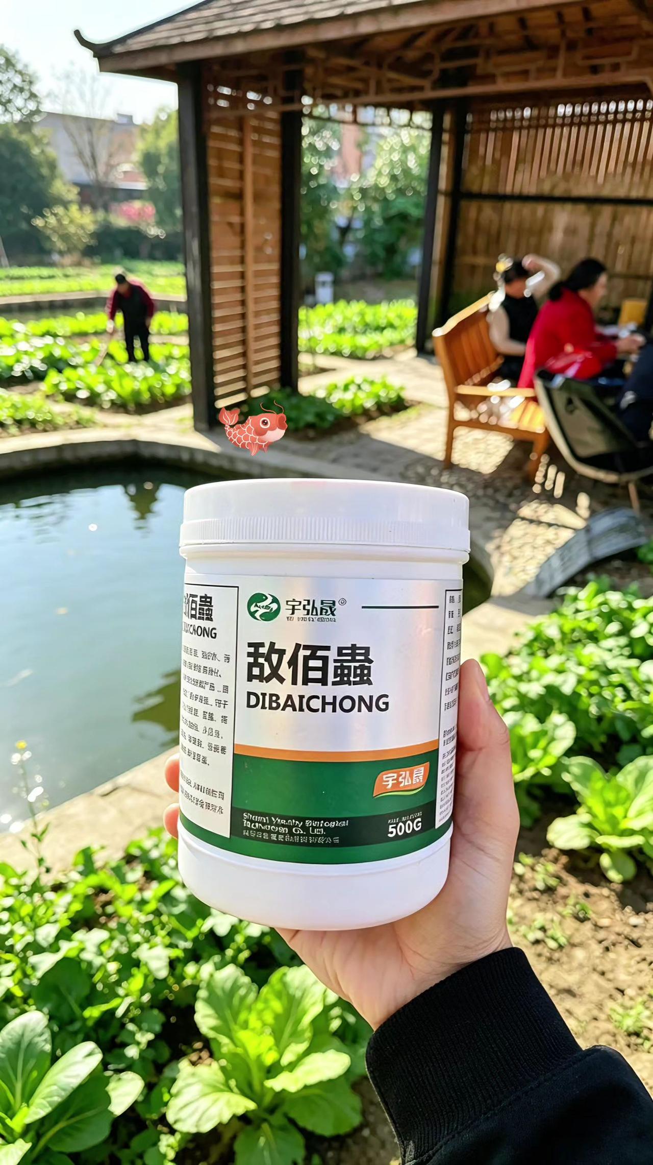 敌佰蟲 鱼塘养殖 鲢鱼 鲤鱼 草鱼