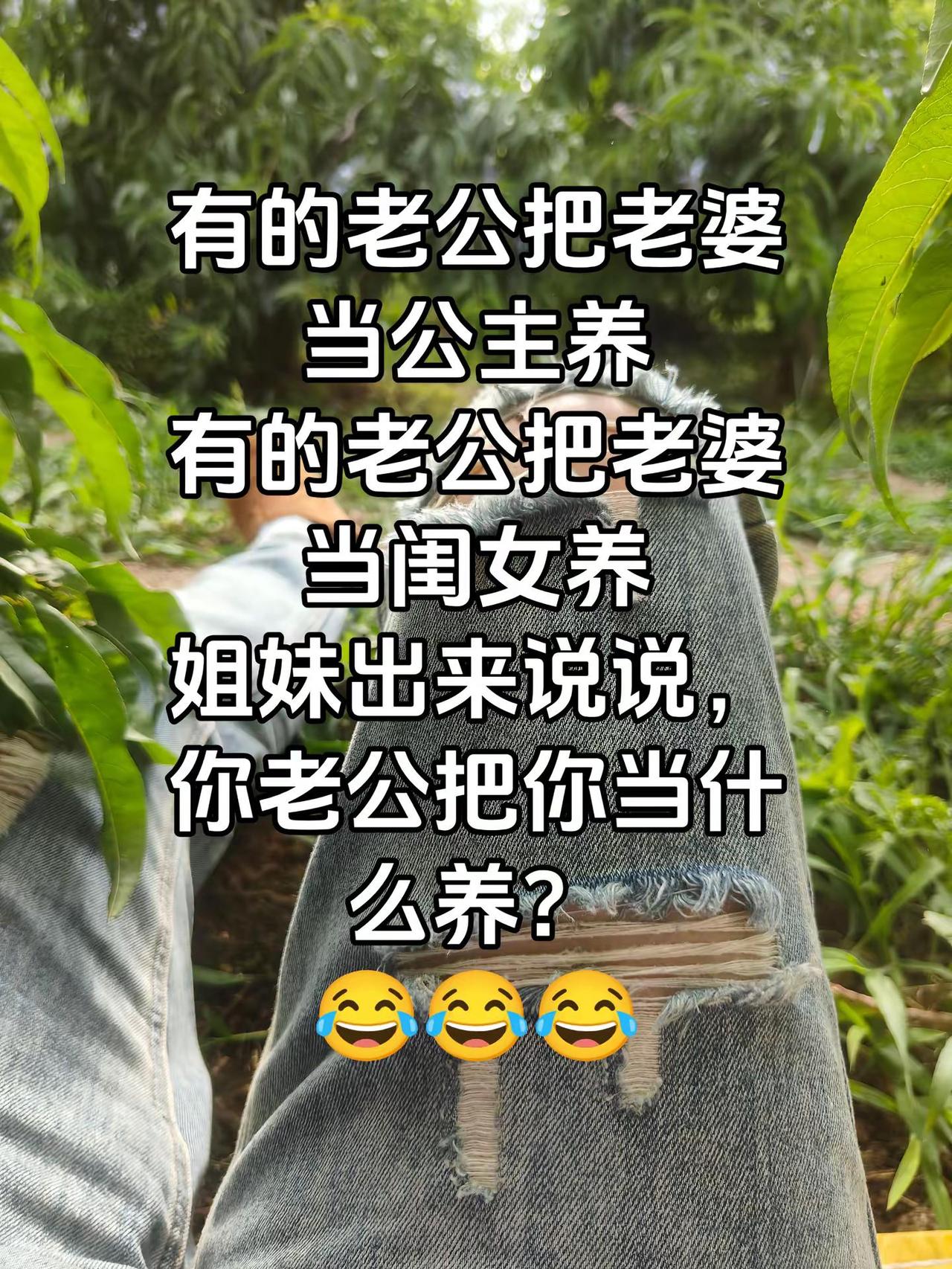 @破洞裤的倔犟