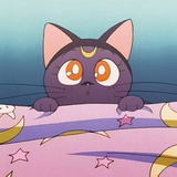 素安爱品美食