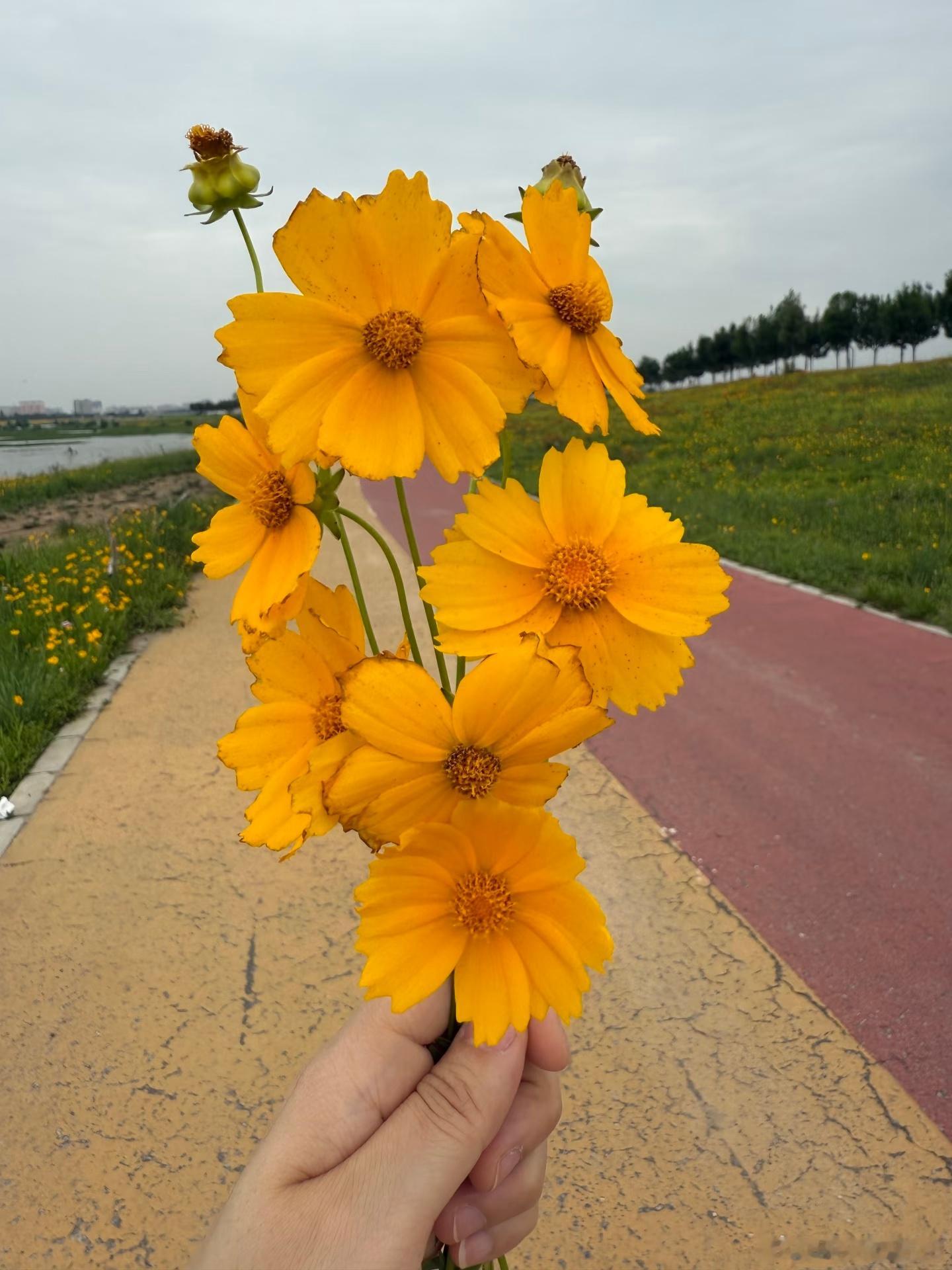 “人之所以幸福，是因为心态好，人之所以快乐，是不计较，人之所以知足，是不攀比，朋