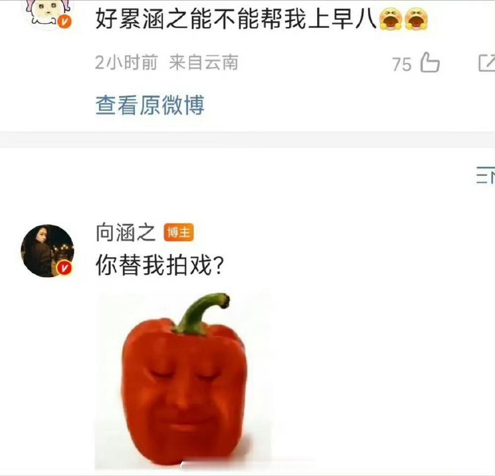 向涵之 你替我拍戏看来大家是真的都不想工作啊，虽然姐姐是明星 