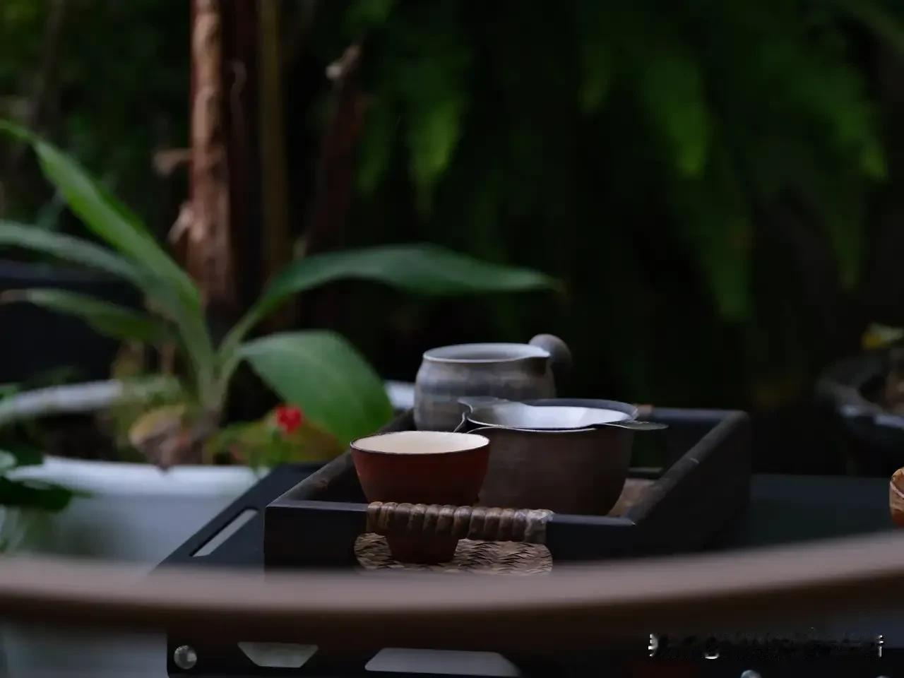 人生忽如寄，
莫负茶、汤、好天气。
上午的月亮和蓝天一样动人，午饭后舍不得小睡，