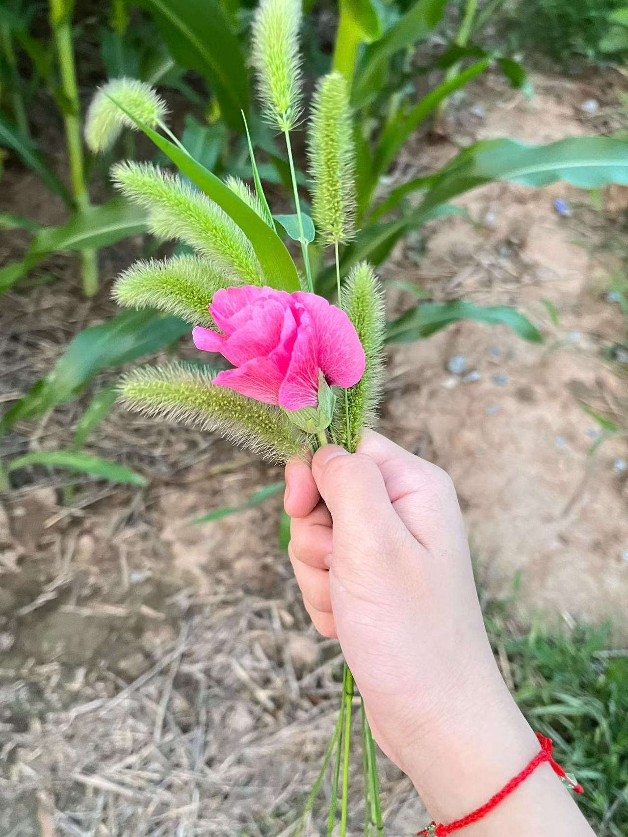 梦中的梦中！！