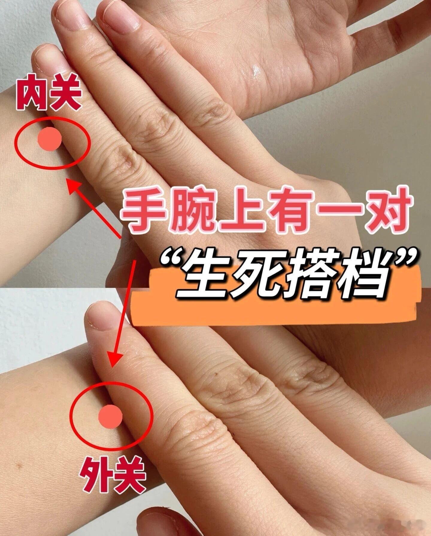 手腕生死搭档｜内关、外关，一主内、一主表我们手腕上，藏着一对“生死搭档”——内关