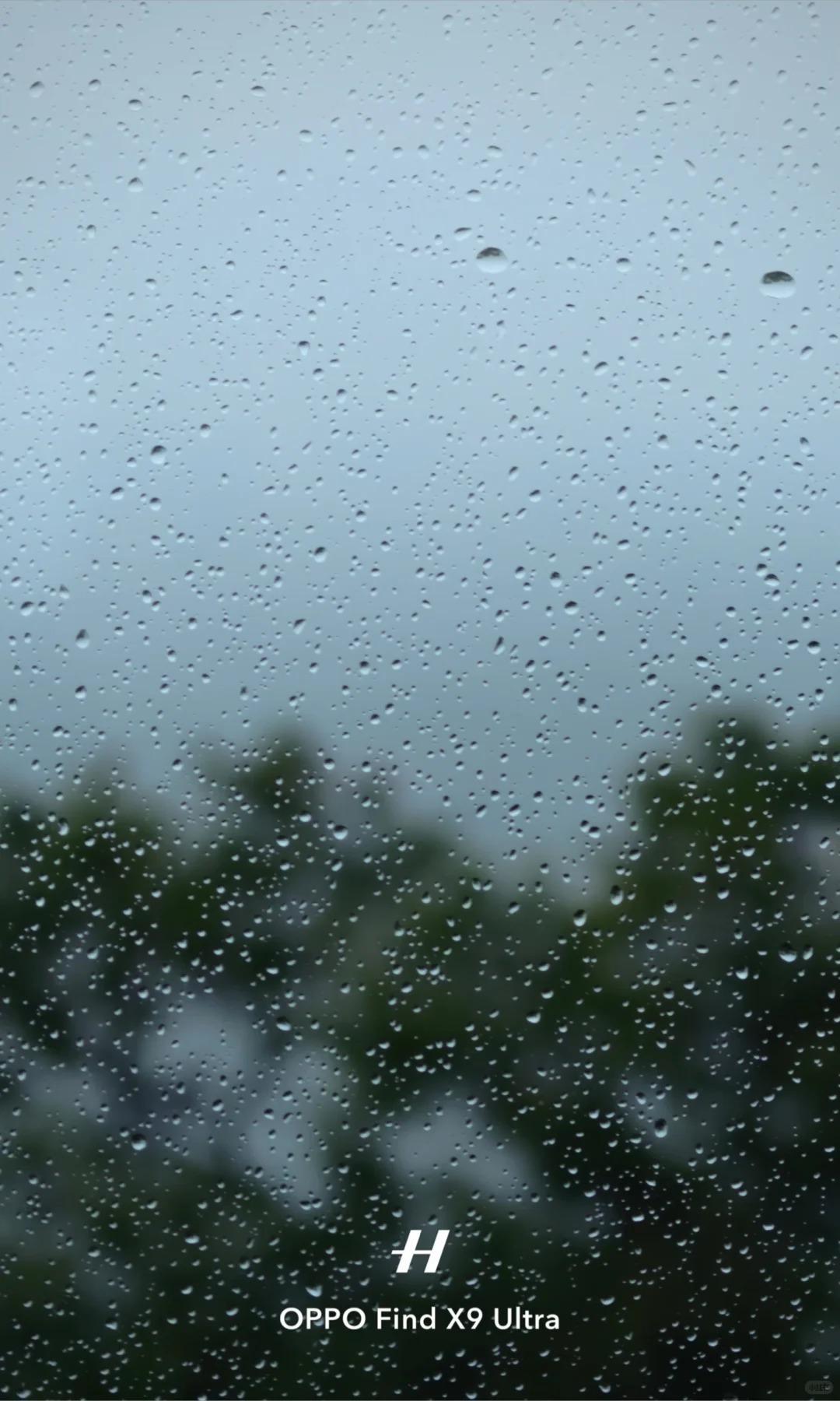 阴雨天的威海，是自带降噪的世界 镜头里的一切都被雨雾磨去了棱角，只剩低饱和的温柔