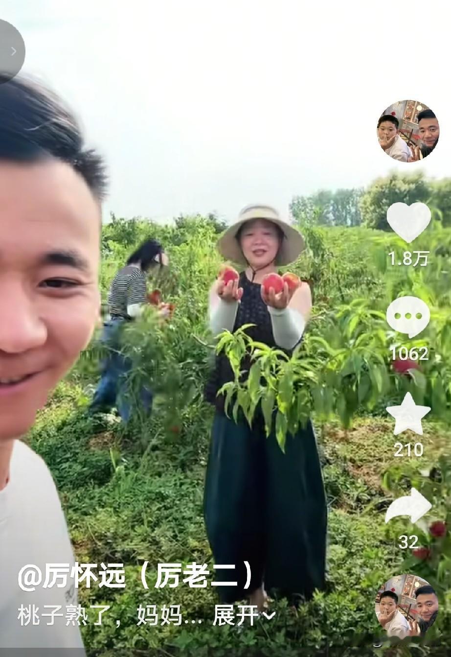厉怀远更新动态，是在自己的果园里，

还带着他的妈妈，二姨小姨，

厉怀远说看着