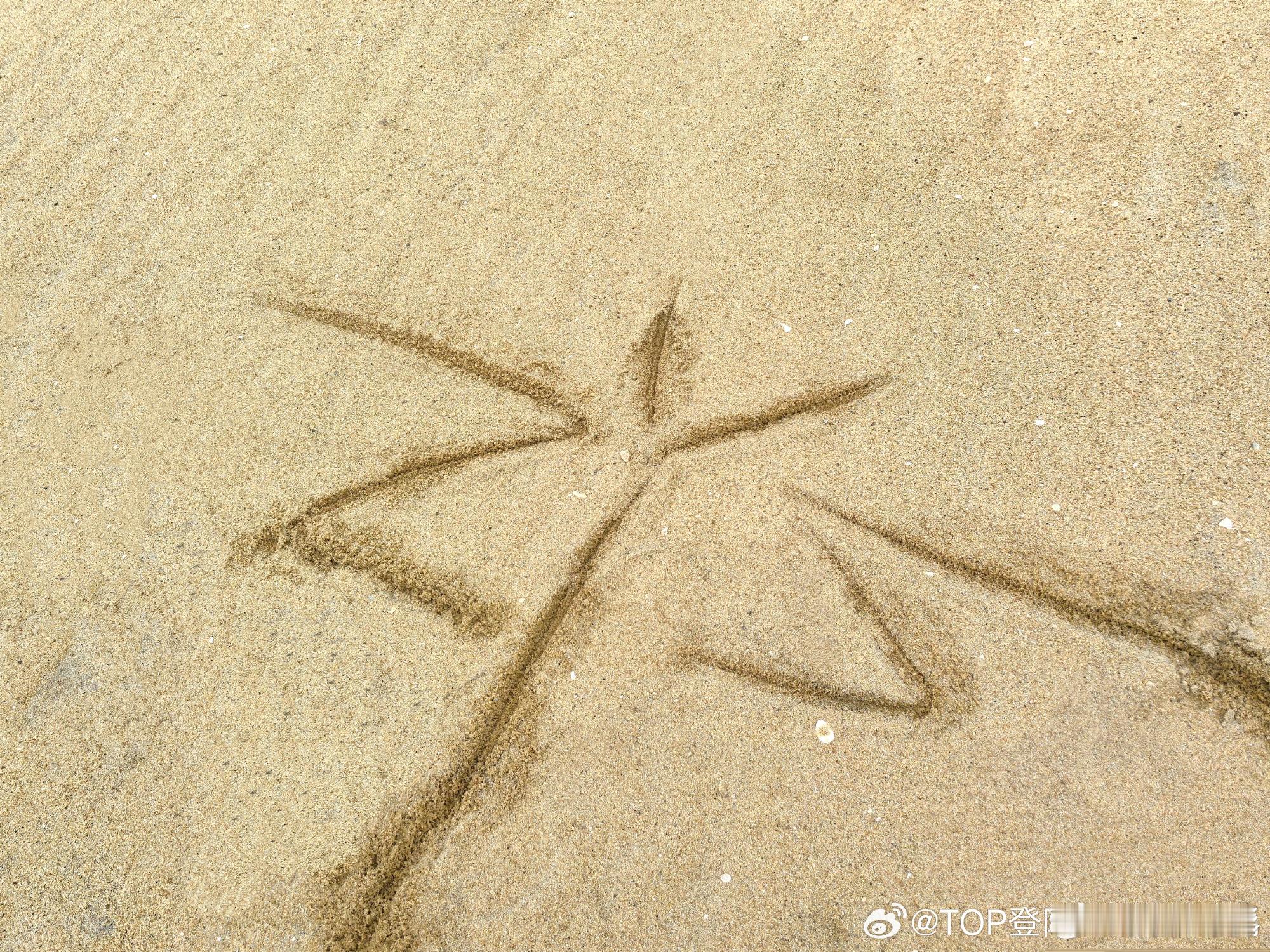 张泽禹旅行小狗寄明信片了张泽禹台风天限定明信片 刷到红发小宝的海边照直接心动！主