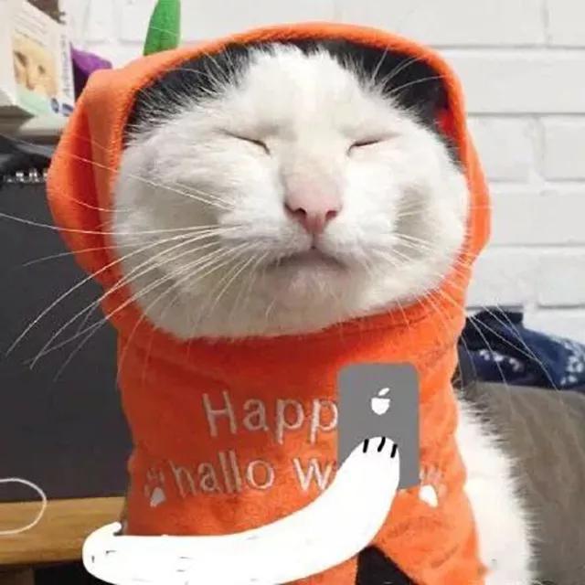 你对手机涨价脱敏了吗 手机一直在涨价，涨的已经有点麻木了，今年身边换手机的朋友也