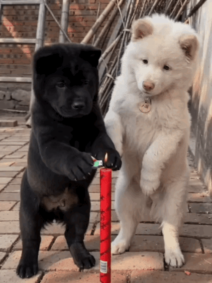 虽然我知道是AI，
但是我还是很喜欢看。