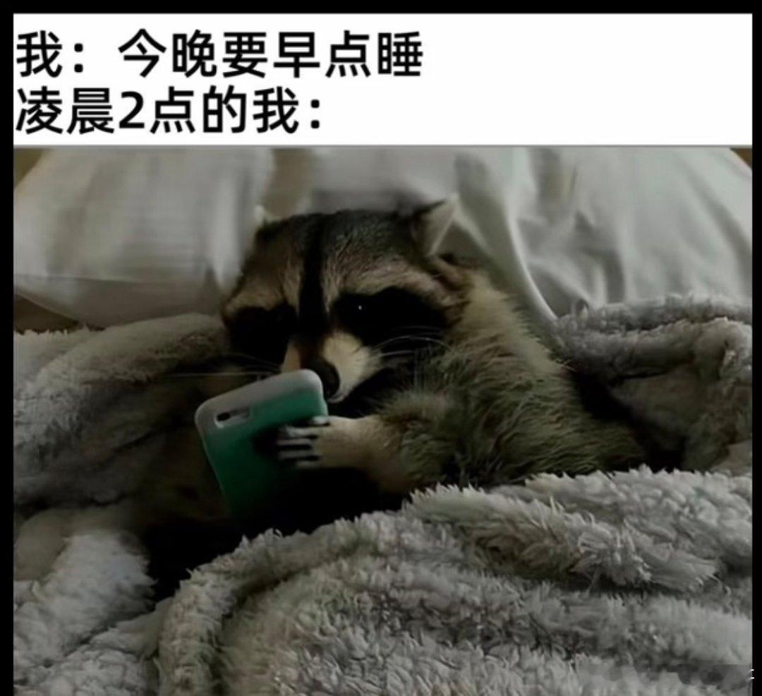 今晚早点睡 