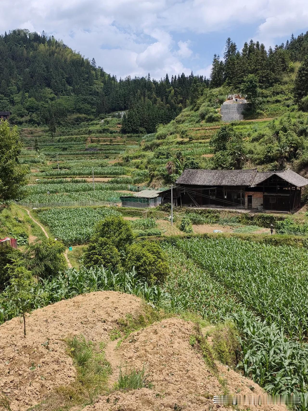 现在在湖南的大山里面，很多光棍都不想找老婆，60岁成为五保户，每个月有800多块