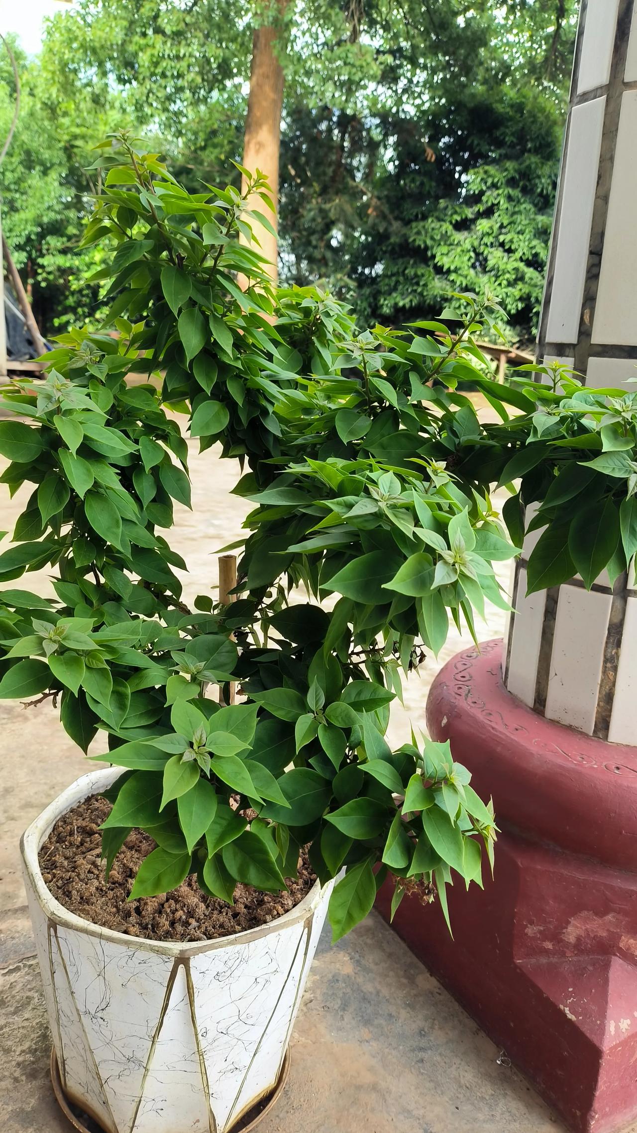 "孩子，妈妈不要你成为同学聚会上最风光的那个人"  。

前几天接儿子放学，他闷