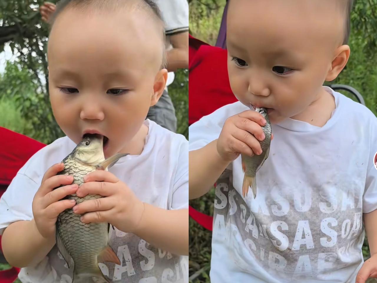 哈哈笑不活了，家人们
这娃也太虎了！
抓着鱼就往嘴里送

家人们快看这个萌娃，在