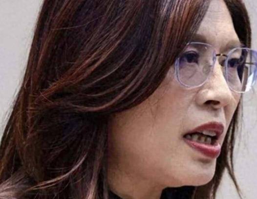 郑丽文这下彻底栽惨了！明明蔡正元、郭正亮两位政坛前辈苦口婆心反复劝她收敛，她偏盲