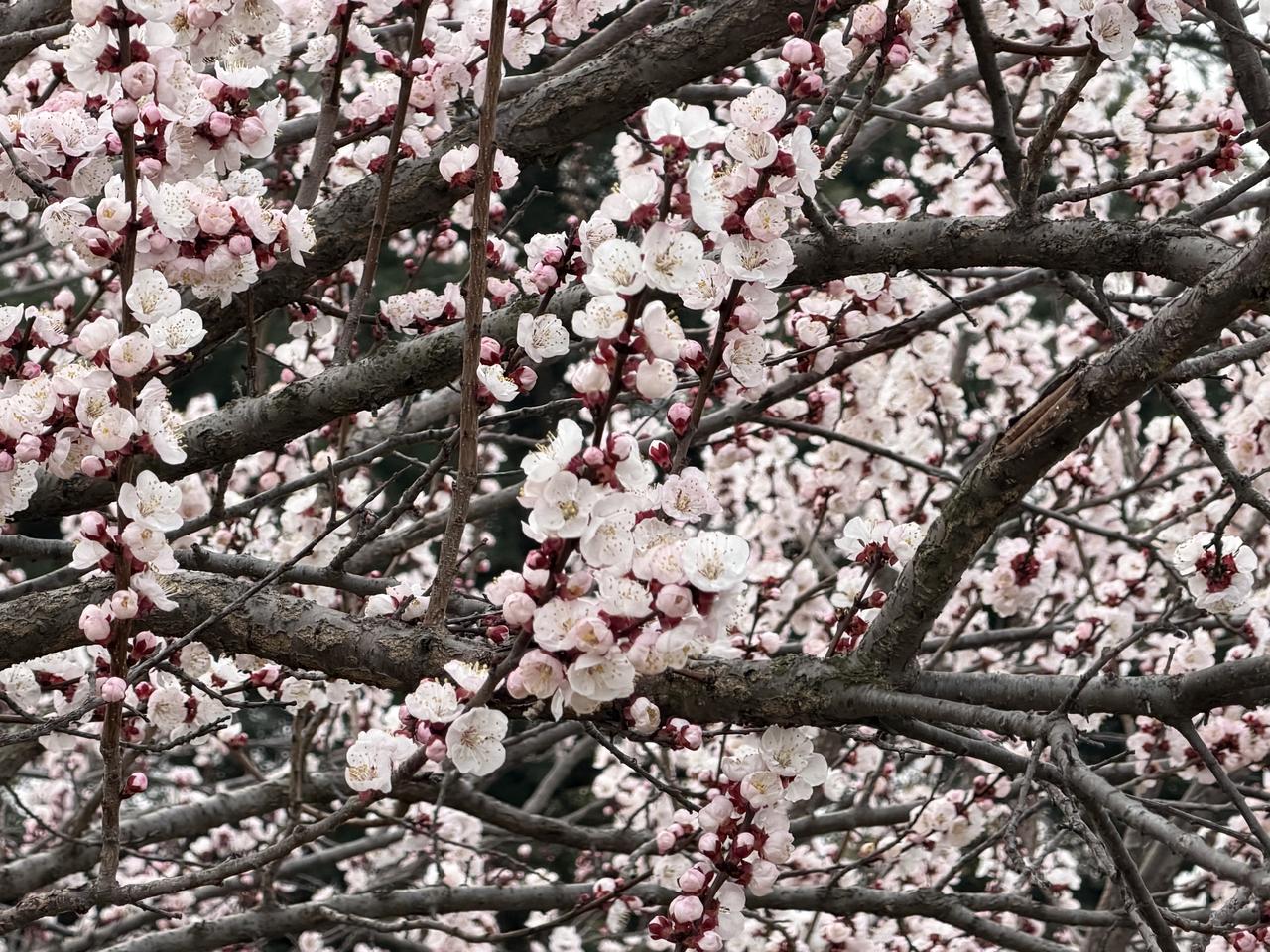 诊断：社会得了什么病？

• 信息不对称病：家长、学生对专业、就业、未来完全盲区