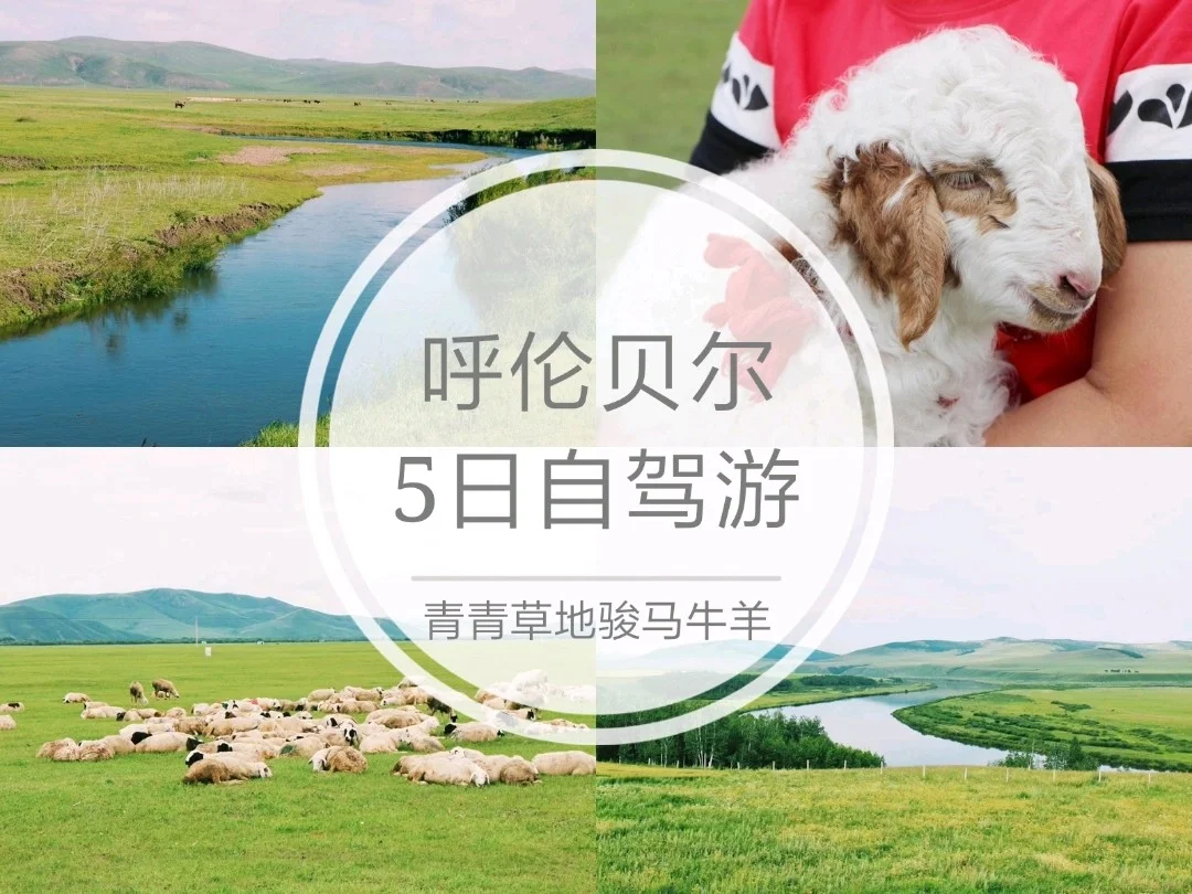 🐎哈尔滨至呼伦贝尔大草原五日自驾游