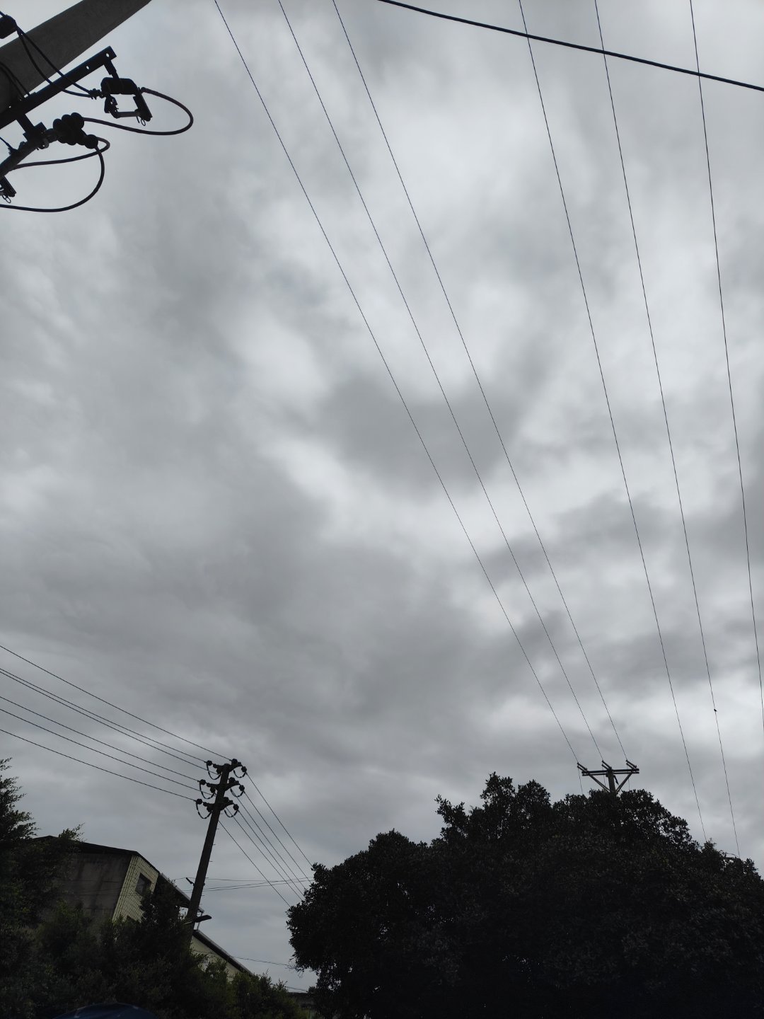 这个天气出门最爽了。 