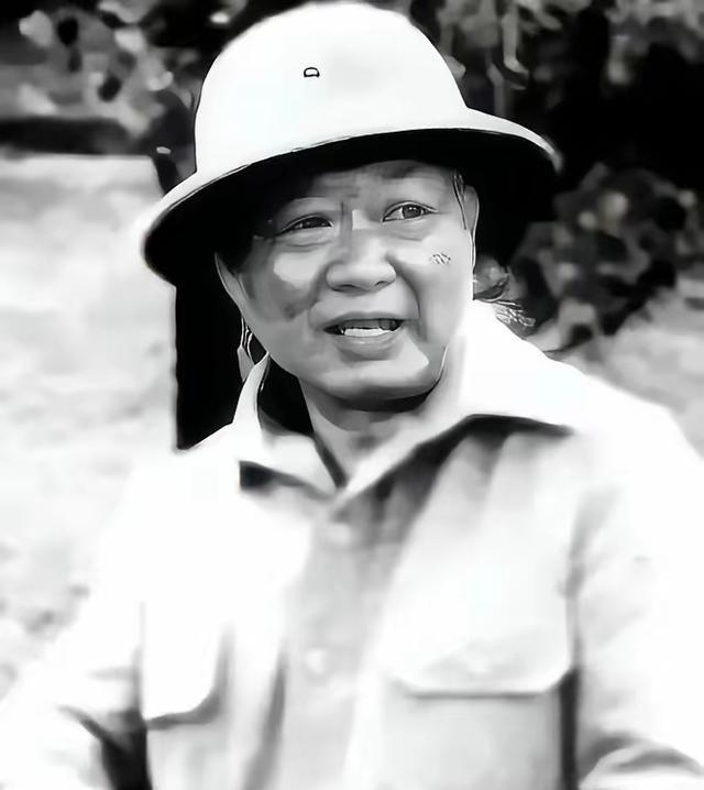 1964年，泰北美斯乐上演了一出顶级“扮猪吃老虎”的绝世博弈。主角是国民党93师