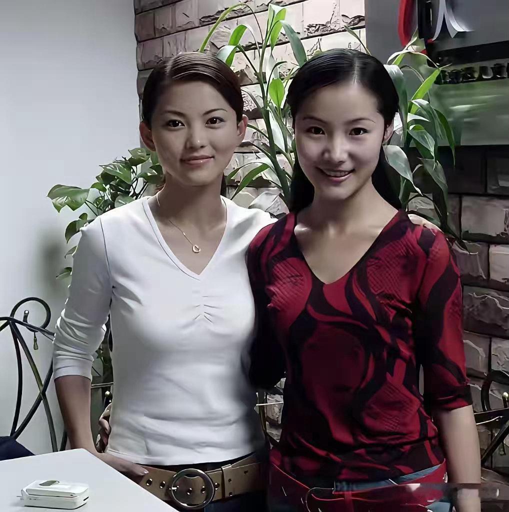 李湘年轻时颜值真的太亮眼了，五官精致又大气，越看越有韵味。 