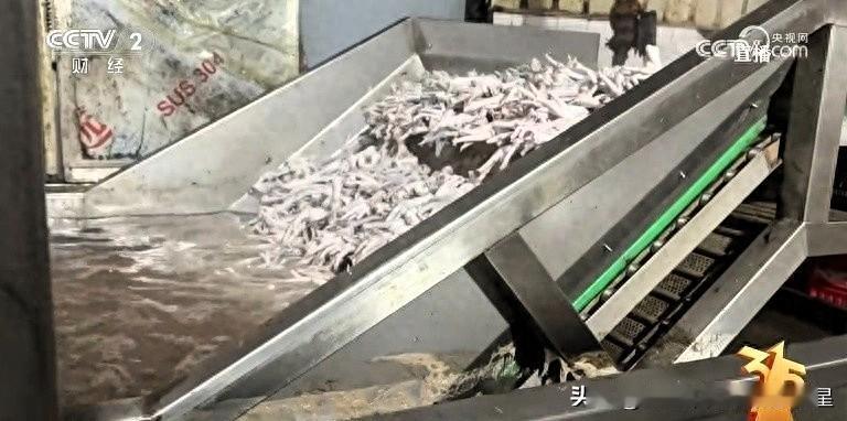 用工业双氧水违规漂白、生产环境脏乱差，工人自己都不敢吃，却流向餐桌坑害消费者。