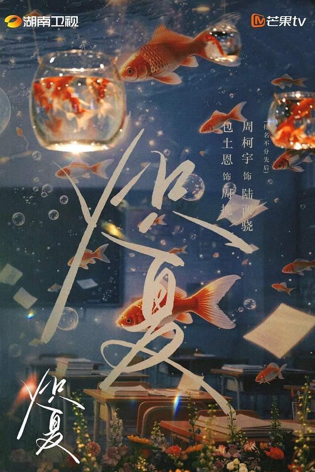 《炽夏》好看吗？收视飙升却超多负评：男主踢爆水管、泳池养金鱼网批无脑，配角柯淳、