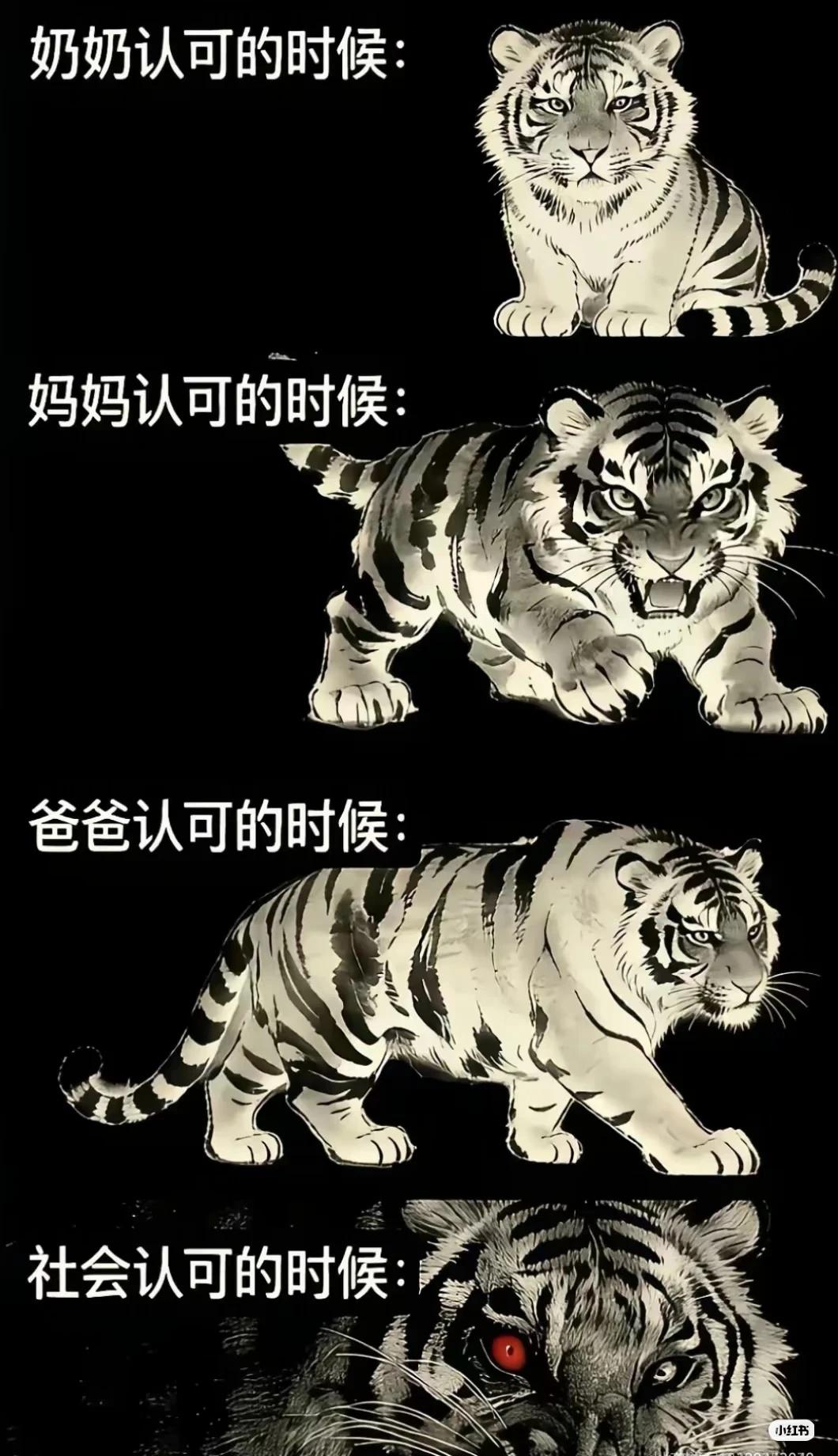 那如果是自己认可的时候呢
梗图 图片仅供娱乐 老虎